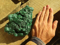 Natural Crystalline Botryoidal Malachite Specimen x 1 From Congo