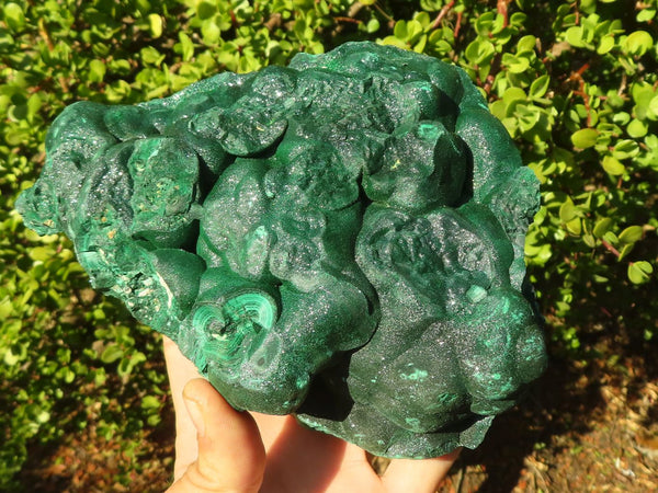 Natural Crystalline Botryoidal Malachite Specimen x 1 From Congo