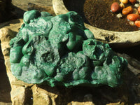 Natural Crystalline Botryoidal Malachite Specimen x 1 From Congo