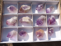 Natural Single Jacaranda Amethyst Crystals  x 12 From Mumbwe, Zambia - Toprock Gemstones and Minerals 