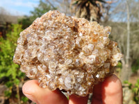 Natural Limonite Quartz Clusters x 12 From Solwezi, Zambia