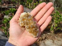 Natural Limonite Quartz Clusters x 12 From Solwezi, Zambia