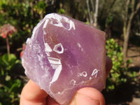 Natural Single Jacaranda Amethyst Crystals  x 12 From Mumbwe, Zambia - Toprock Gemstones and Minerals 