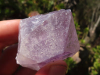 Natural Single Jacaranda Amethyst Crystals  x 12 From Mumbwe, Zambia - Toprock Gemstones and Minerals 