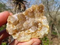 Natural Limonite Quartz Clusters x 12 From Solwezi, Zambia