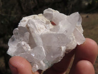 Natural Mixed Selection Of Small Quartz Clusters  x 24 From Madagascar - TopRock