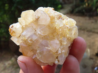 Natural Limonite Quartz Clusters x 12 From Solwezi, Zambia