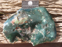 Polished One Side Polished Mtorolite / Emerald Chrysoprase Specimen  x 1 From Zimbabwe - Toprock Gemstones and Minerals 