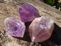 Natural Single Jacaranda Amethyst Crystals  x 12 From Mumbwe, Zambia - Toprock Gemstones and Minerals 