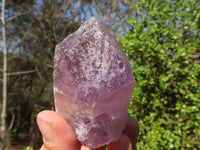 Natural Single Jacaranda Amethyst Crystals  x 12 From Mumbwe, Zambia - Toprock Gemstones and Minerals 