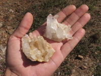 Natural Mixed Selection Of Small Quartz Clusters  x 24 From Madagascar - TopRock