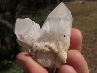 Natural Mixed Selection Of Small Quartz Clusters  x 24 From Madagascar - TopRock