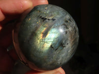 Polished Lovely Labradorite Spheres  x 4 From Tulear, Madagascar