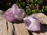 Natural Single Jacaranda Amethyst Crystals  x 12 From Mumbwe, Zambia - Toprock Gemstones and Minerals 