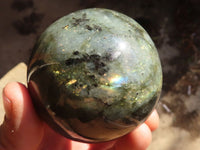 Polished Lovely Labradorite Spheres  x 4 From Tulear, Madagascar