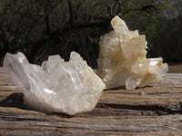 Natural Mixed Selection Of Small Quartz Clusters  x 24 From Madagascar - TopRock