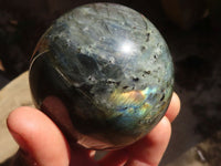 Polished Lovely Labradorite Spheres  x 4 From Tulear, Madagascar