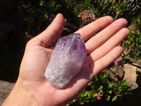 Natural Single Jacaranda Amethyst Crystals  x 12 From Mumbwe, Zambia - Toprock Gemstones and Minerals 