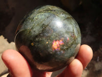 Polished Lovely Labradorite Spheres  x 4 From Tulear, Madagascar