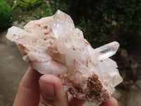 Natural Tangerine Tinted Clear Quartz Clusters  x 6 From Mpika, Zambia - TopRock