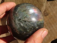 Polished Lovely Labradorite Spheres  x 4 From Tulear, Madagascar