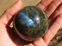 Polished Lovely Labradorite Spheres  x 4 From Tulear, Madagascar