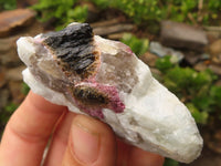 Natural Rough Rubellite Pink Tourmaline In Matrix Specimens  x 24 From Madagascar - Toprock Gemstones and Minerals 