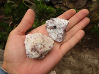 Natural Rough Rubellite Pink Tourmaline In Matrix Specimens  x 24 From Madagascar - Toprock Gemstones and Minerals 