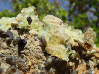 Natural Fluorescent Hyalite Opal Specimen x 1 From Erongo, Namibia