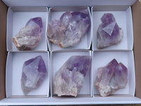 Natural Jacaranda Amethyst Clusters  x 6 From Mumbwa, Zambia - Toprock Gemstones and Minerals 