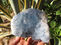 Natural Blue Celestite Crystal Specimens  x 2 From Sakoany, Madagascar - Toprock Gemstones and Minerals 