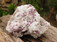 Natural Rough Rubellite Pink Tourmaline In Matrix Specimens  x 24 From Madagascar - Toprock Gemstones and Minerals 