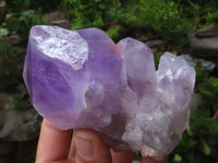 Natural Jacaranda Amethyst Clusters  x 6 From Mumbwa, Zambia - Toprock Gemstones and Minerals 