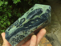 Polished Stromatolite / Kambamba Jasper Points  x 2 From Madagascar - TopRock