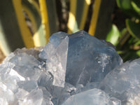 Natural Blue Celestite Crystal Specimens  x 2 From Sakoany, Madagascar - Toprock Gemstones and Minerals 