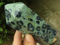 Polished Stromatolite / Kambamba Jasper Points  x 2 From Madagascar - TopRock