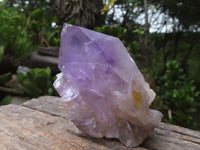 Natural Jacaranda Amethyst Clusters  x 6 From Mumbwa, Zambia - Toprock Gemstones and Minerals 