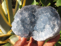 Natural Blue Celestite Crystal Specimens  x 2 From Sakoany, Madagascar - Toprock Gemstones and Minerals 