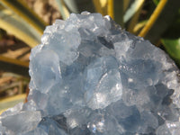 Natural Blue Celestite Crystal Specimens  x 2 From Sakoany, Madagascar - Toprock Gemstones and Minerals 