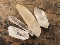 Natural Single Clear Quartz Crystals  x 2 Kg Lot From Madagascar - Toprock Gemstones and Minerals 