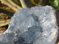 Natural Blue Celestite Crystal Specimens  x 2 From Sakoany, Madagascar - Toprock Gemstones and Minerals 