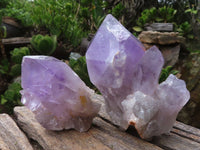 Natural Jacaranda Amethyst Clusters  x 6 From Mumbwa, Zambia - Toprock Gemstones and Minerals 