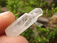 Natural Single Clear Quartz Crystals  x 2 Kg Lot From Madagascar - Toprock Gemstones and Minerals 