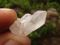 Natural Single Clear Quartz Crystals  x 2 Kg Lot From Madagascar - Toprock Gemstones and Minerals 