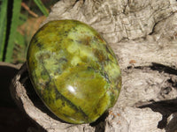 Polished Green Opal Palm Stones  x 6 From Antsirabe, Madagascar - Toprock Gemstones and Minerals 