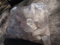 Natural Single Smokey Quartz Crystals  x 1.9 Kg Lot From Zimbabwe - TopRock