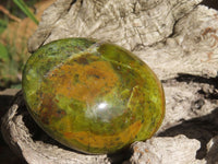 Polished Green Opal Palm Stones  x 6 From Antsirabe, Madagascar - Toprock Gemstones and Minerals 