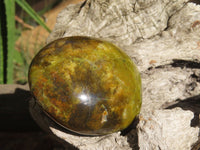 Polished Green Opal Palm Stones  x 6 From Antsirabe, Madagascar - Toprock Gemstones and Minerals 