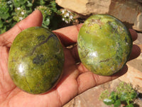 Polished Green Opal Palm Stones  x 6 From Antsirabe, Madagascar - Toprock Gemstones and Minerals 