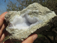 Natural Blue Lace Agate Geode Specimens  x 6 From Nsanje, Malawi - TopRock